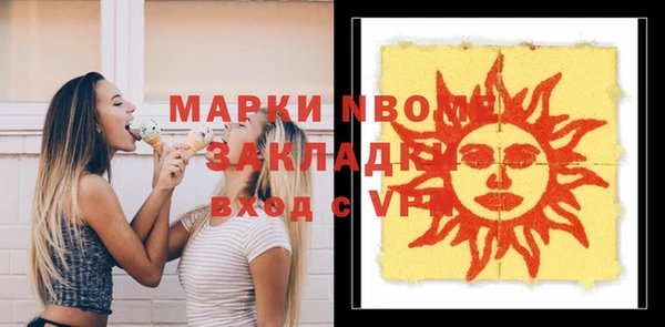 гашик Шали
