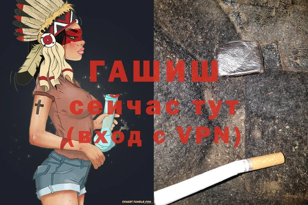 гашик Дмитров
